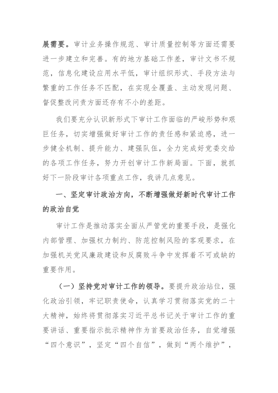 在审计工作会议上的讲话.docx_第3页