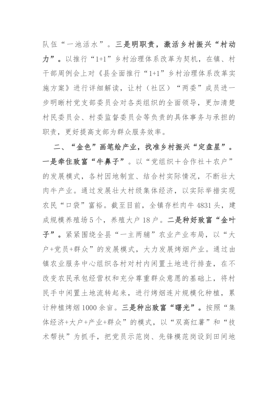 镇党委书记经验交流发言：党建引领绘就乡村振兴“新蓝图”.docx_第2页