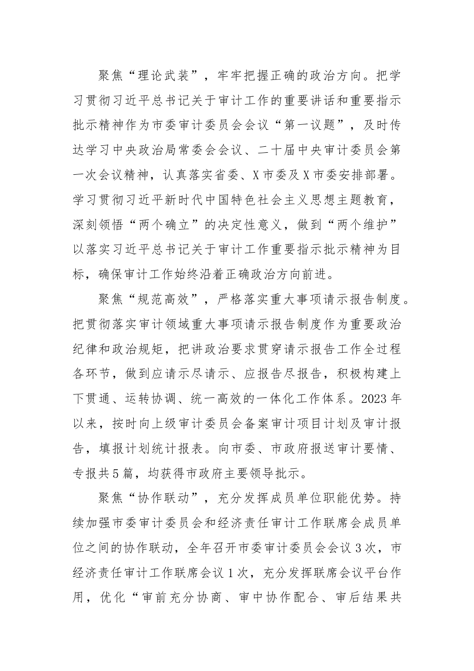 2023年度X市审计工作总结.docx_第2页