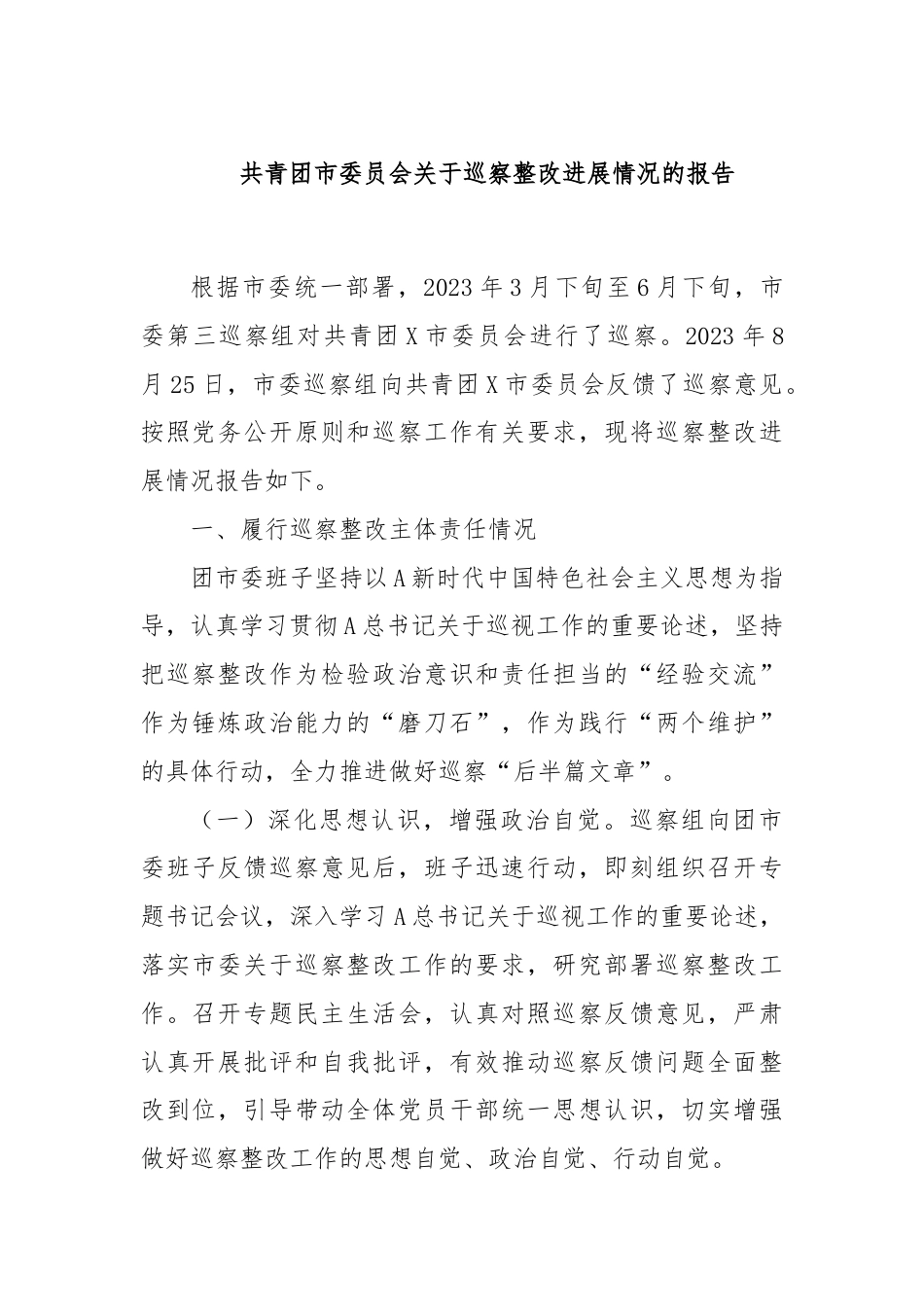 共青团市委员会关于巡察整改进展情况的报告.docx_第1页