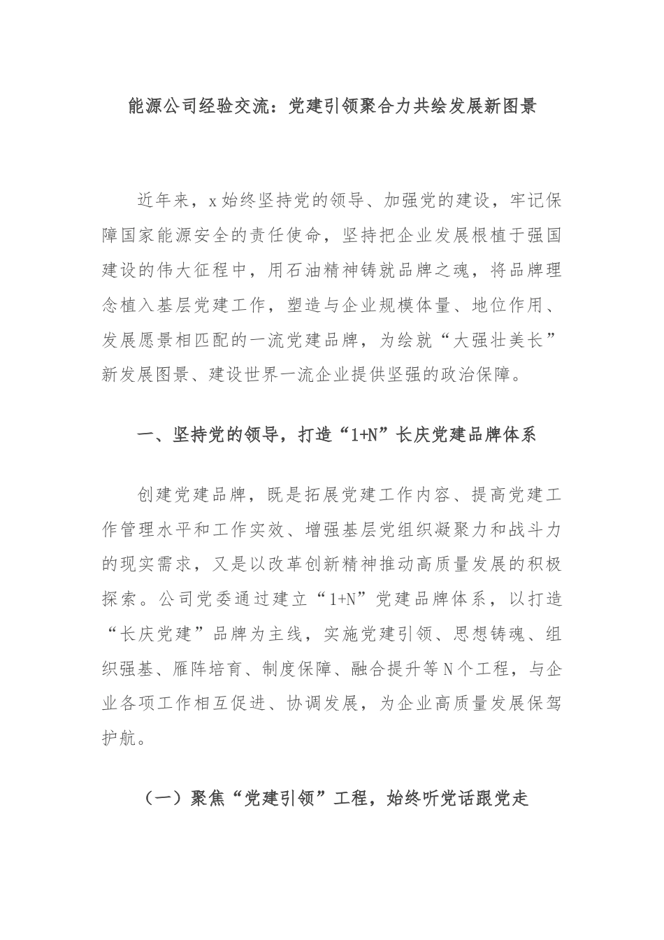 能源公司经验交流：党建引领聚合力共绘发展新图景.docx_第1页