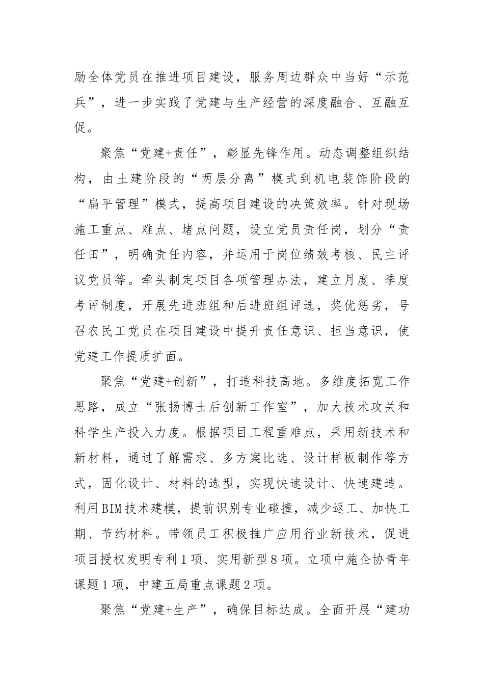 经验交流：“红色引擎”推动项目建设跑出“加速度”.docx_第3页