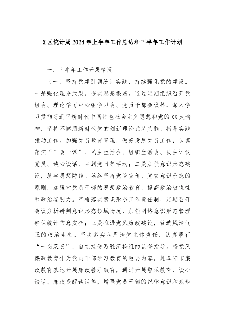 X区统计局2024年上半年工作总结和下半年工作计划.docx_第1页