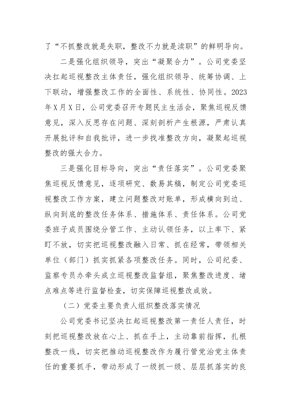 某公司关于巡视整改工作进展情况的报告.docx_第2页