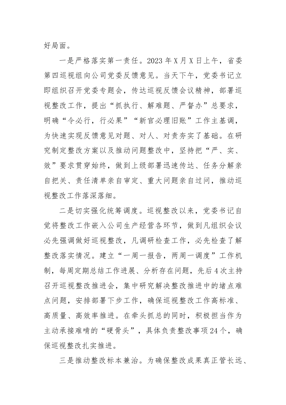 某公司关于巡视整改工作进展情况的报告.docx_第3页