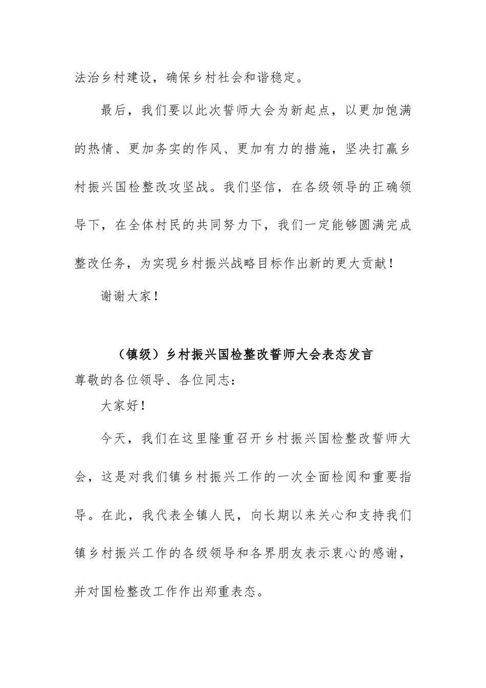 乡村振兴国检整改誓师大会表态发言.docx_第3页