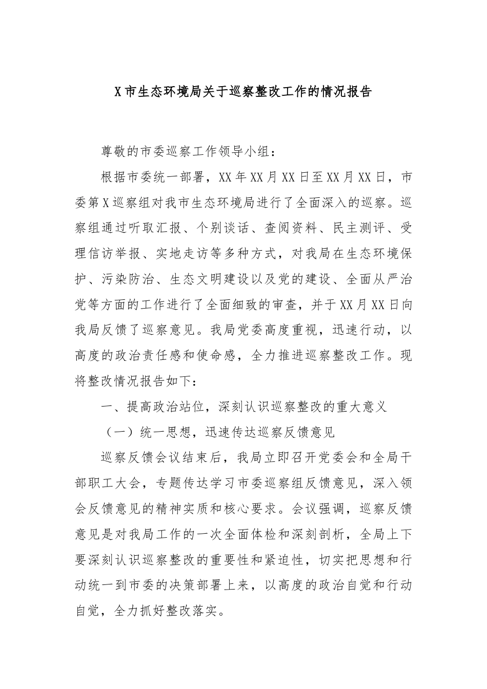 X市生态环境局关于巡察整改工作的情况报告.docx_第1页