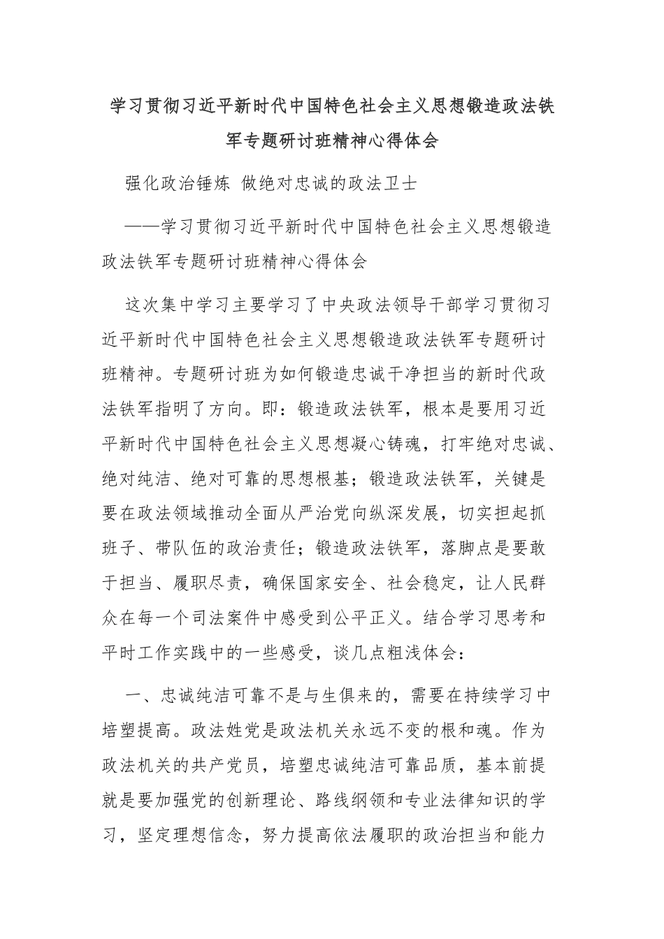 学习贯彻习近平新时代中国特色社会主义思想锻造政法铁军专题研讨班精神心得体会.docx_第1页