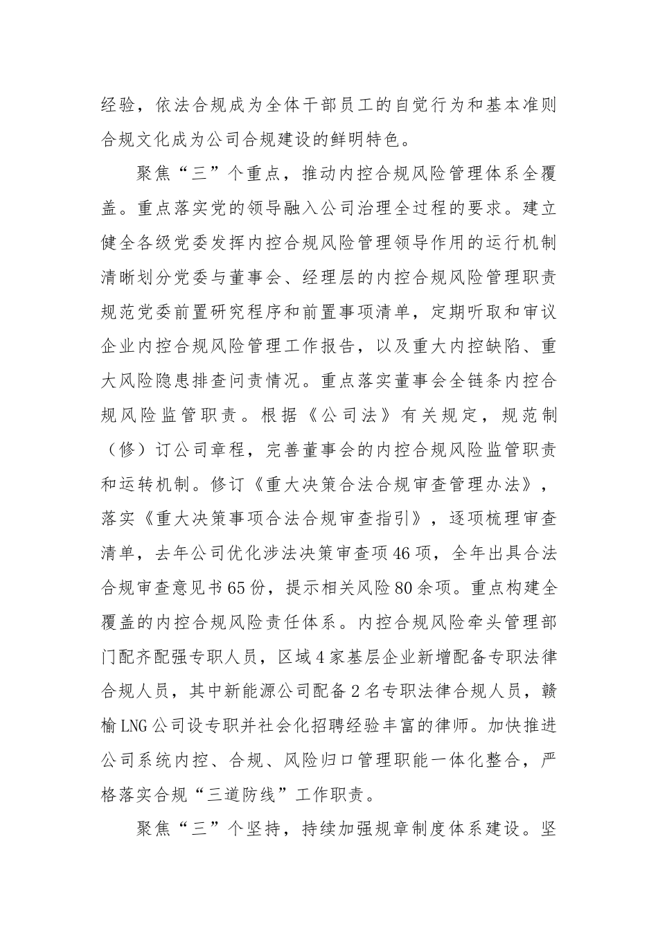 在国资国企合规工作任务落实推进会上的汇报发言.docx_第2页