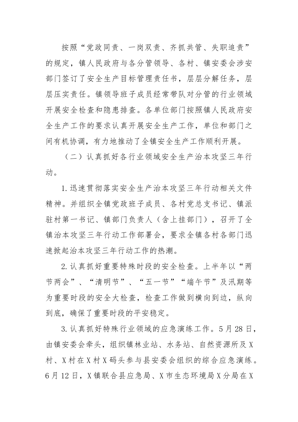 X镇2024年安全生产及应急管理半年工作总结.docx_第2页