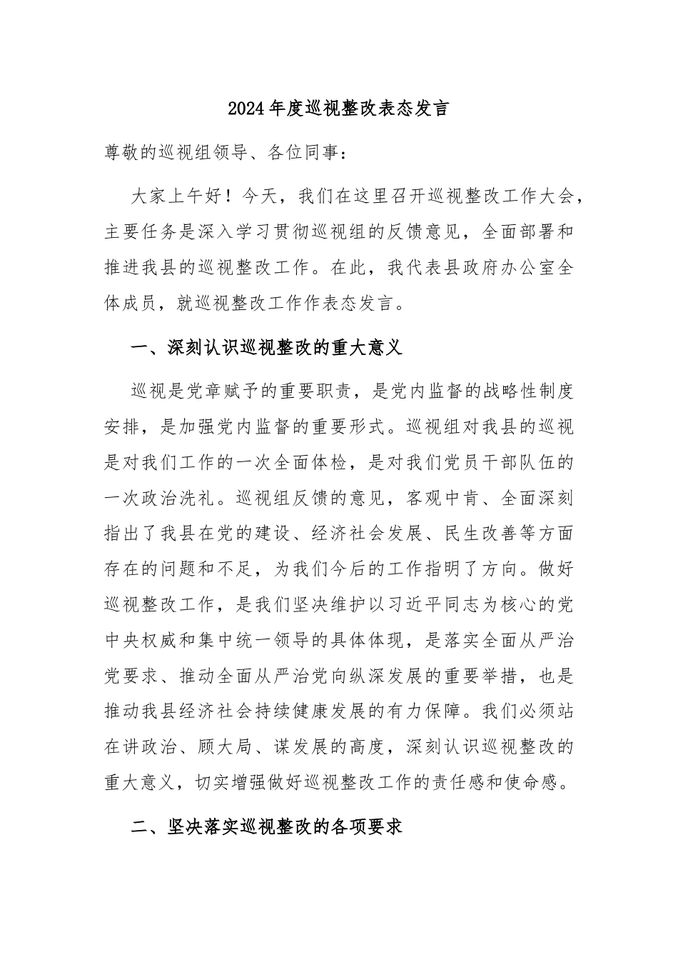 2024年度巡视整改表态发言.docx_第1页