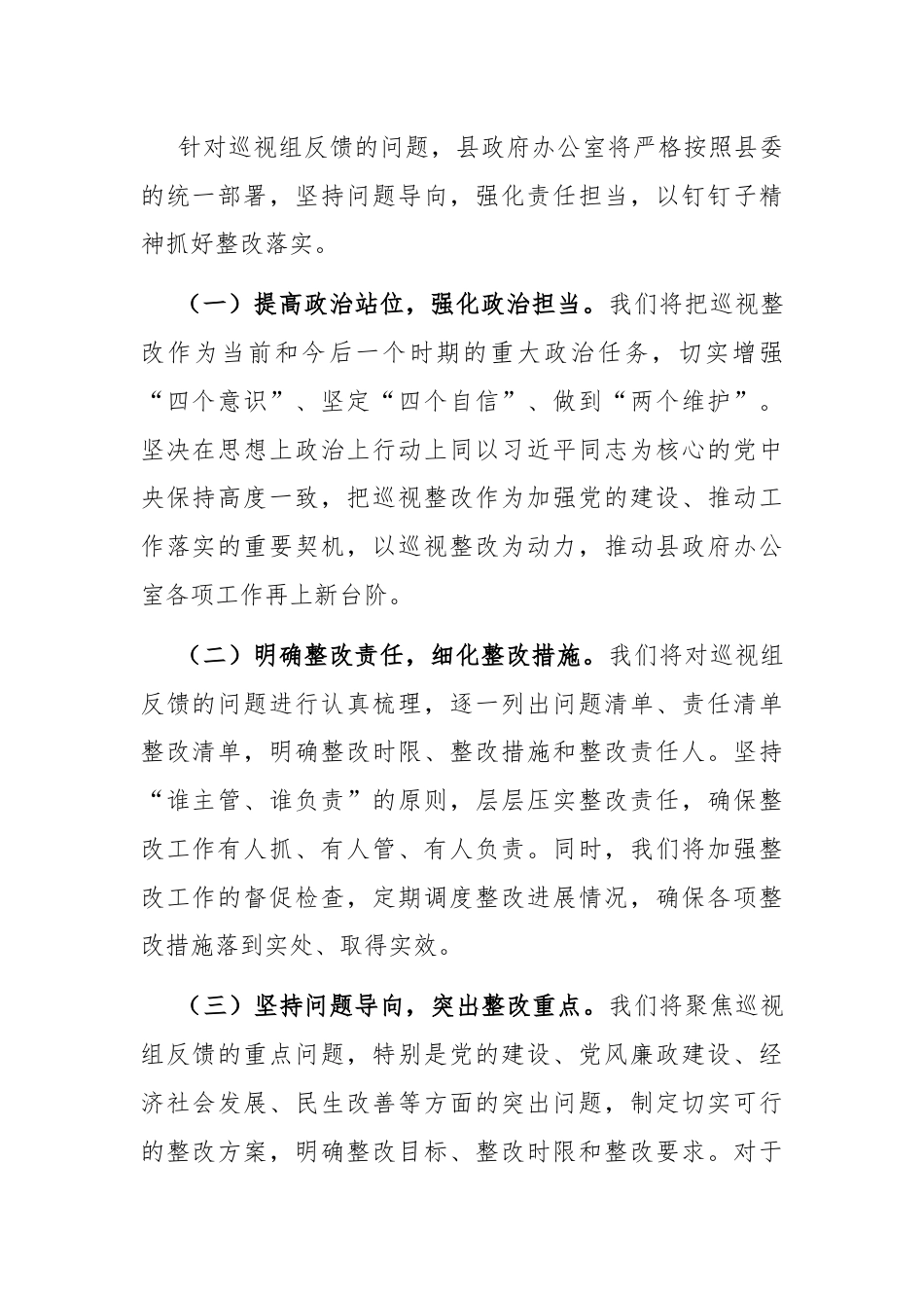 2024年度巡视整改表态发言.docx_第2页