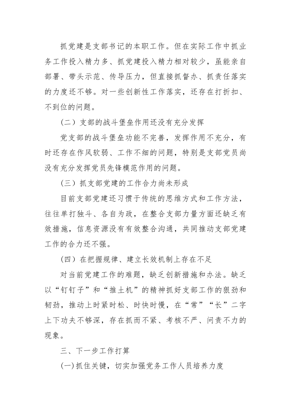 党支部书记履职情况报告.docx_第3页