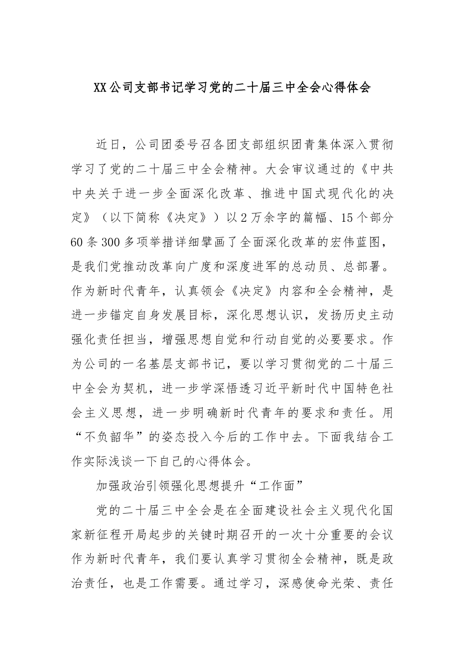 XX公司支部书记学习党的二十届三中全会心得体会.docx_第1页