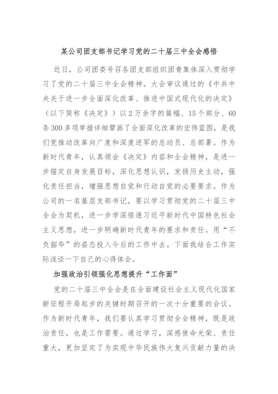 某公司团支部书记学习党的二十届三中全会感悟.docx_第1页