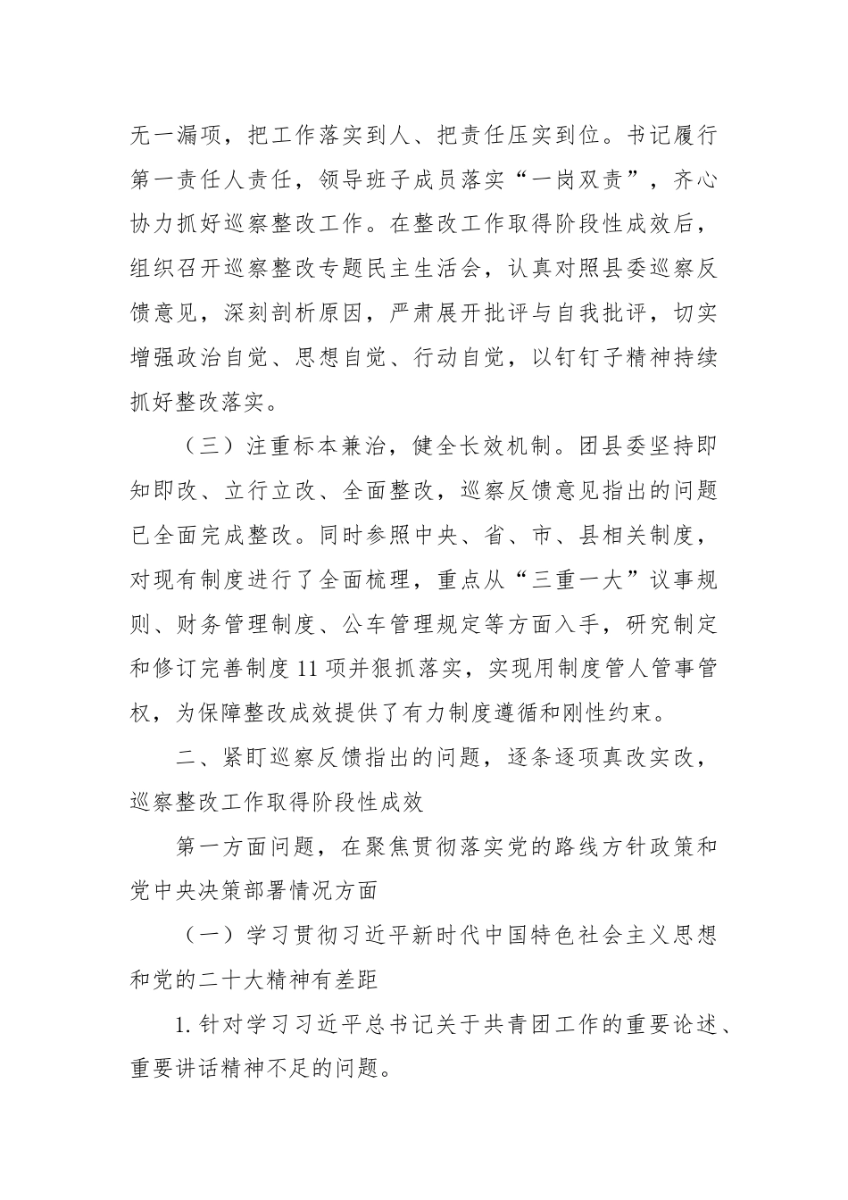 共青团县委员会关于巡察集中整改进展情况的报告.docx_第2页