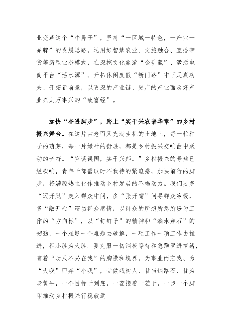 乡镇青年干部围绕乡村振兴交流研讨材料.docx_第2页