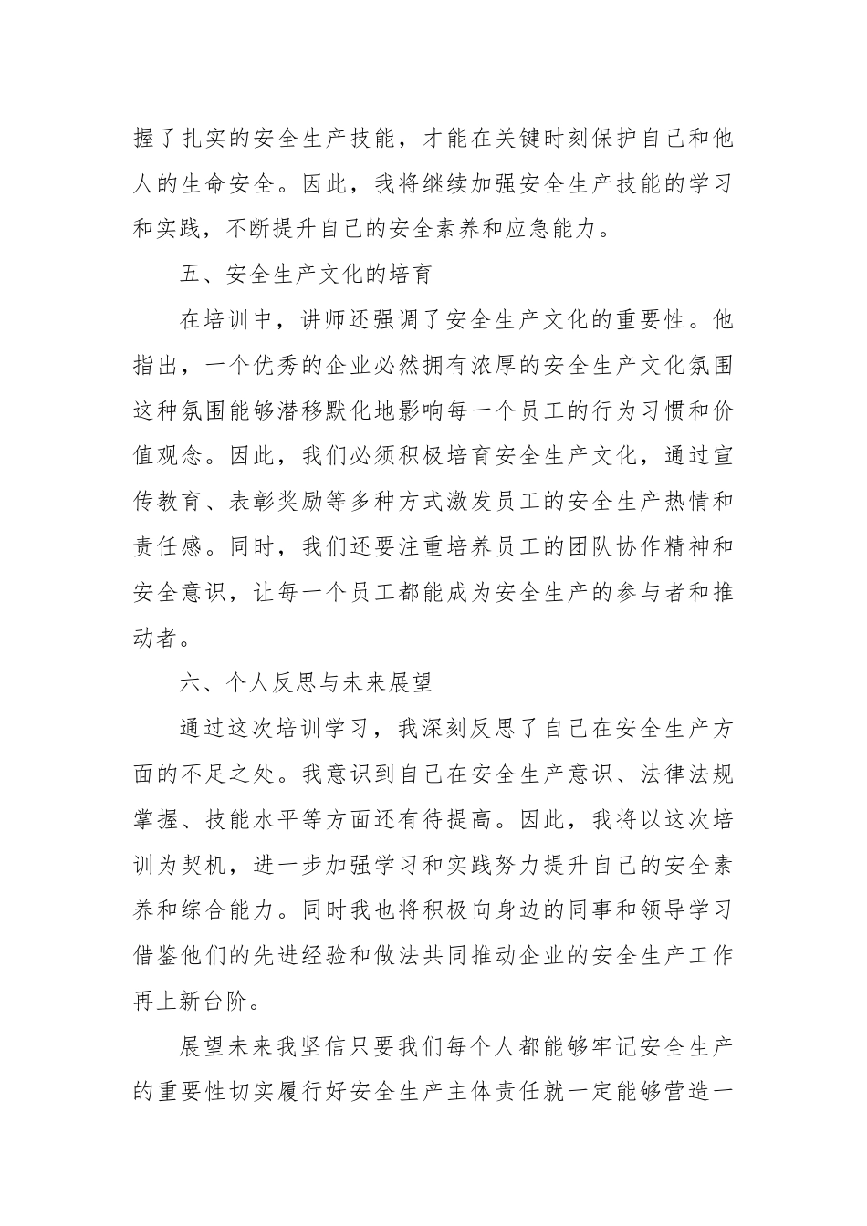 参加安全生产主体责任培训学习心得体会.docx_第3页