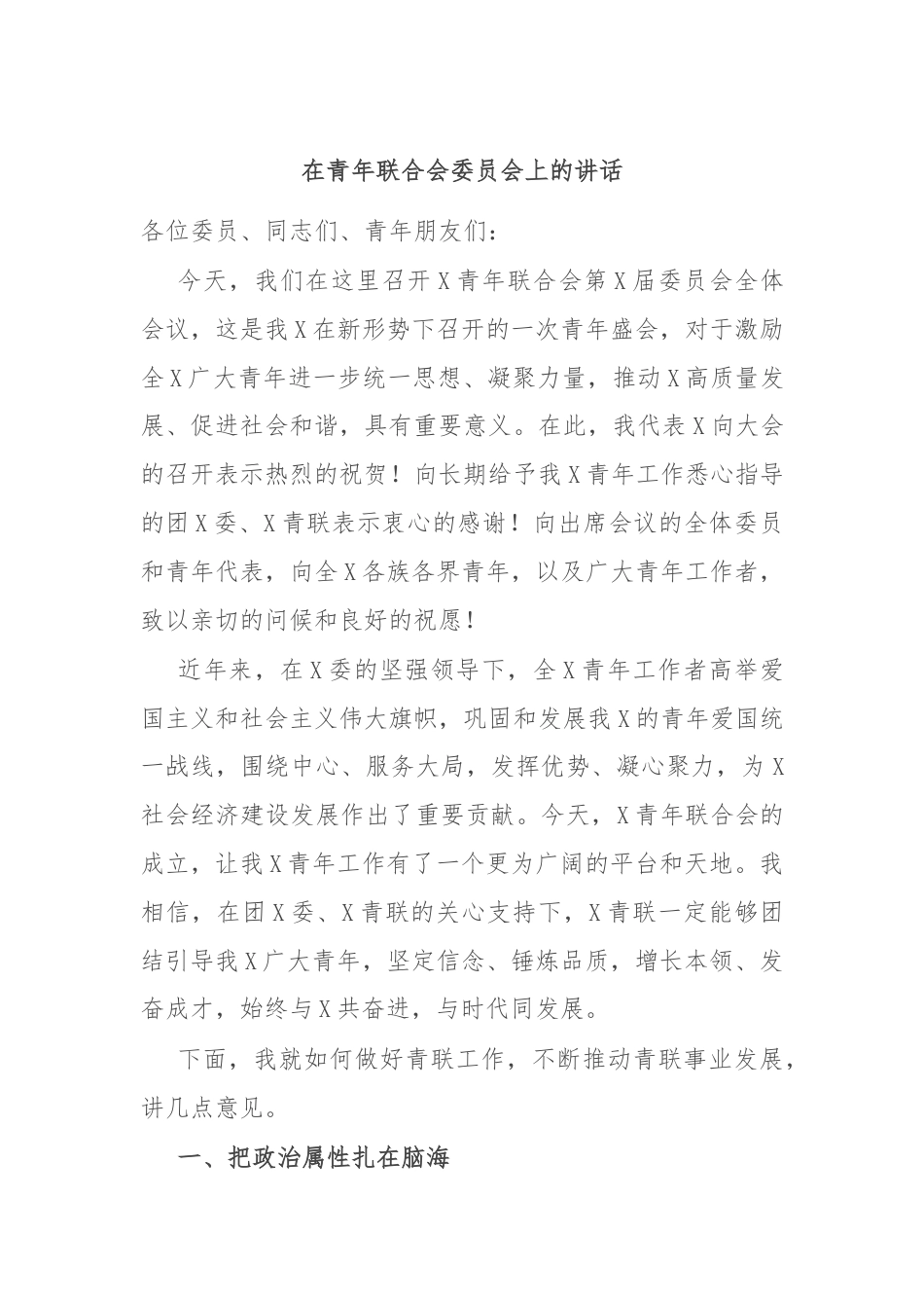 在青年联合会委员会上的讲话.docx_第1页