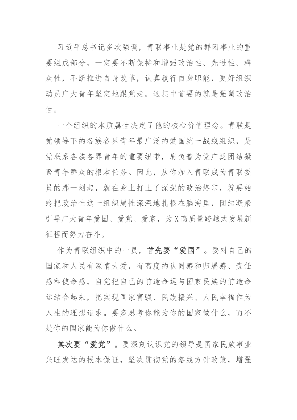 在青年联合会委员会上的讲话.docx_第2页