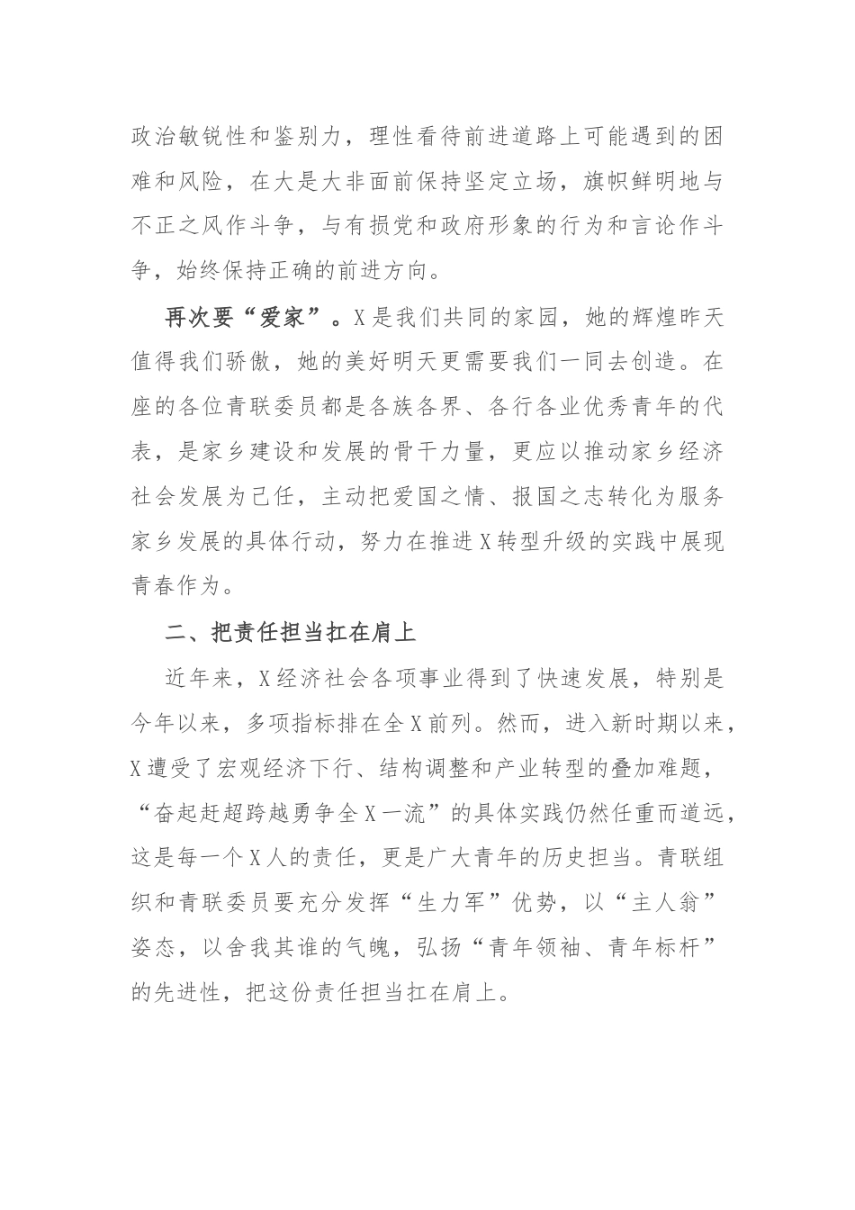 在青年联合会委员会上的讲话.docx_第3页