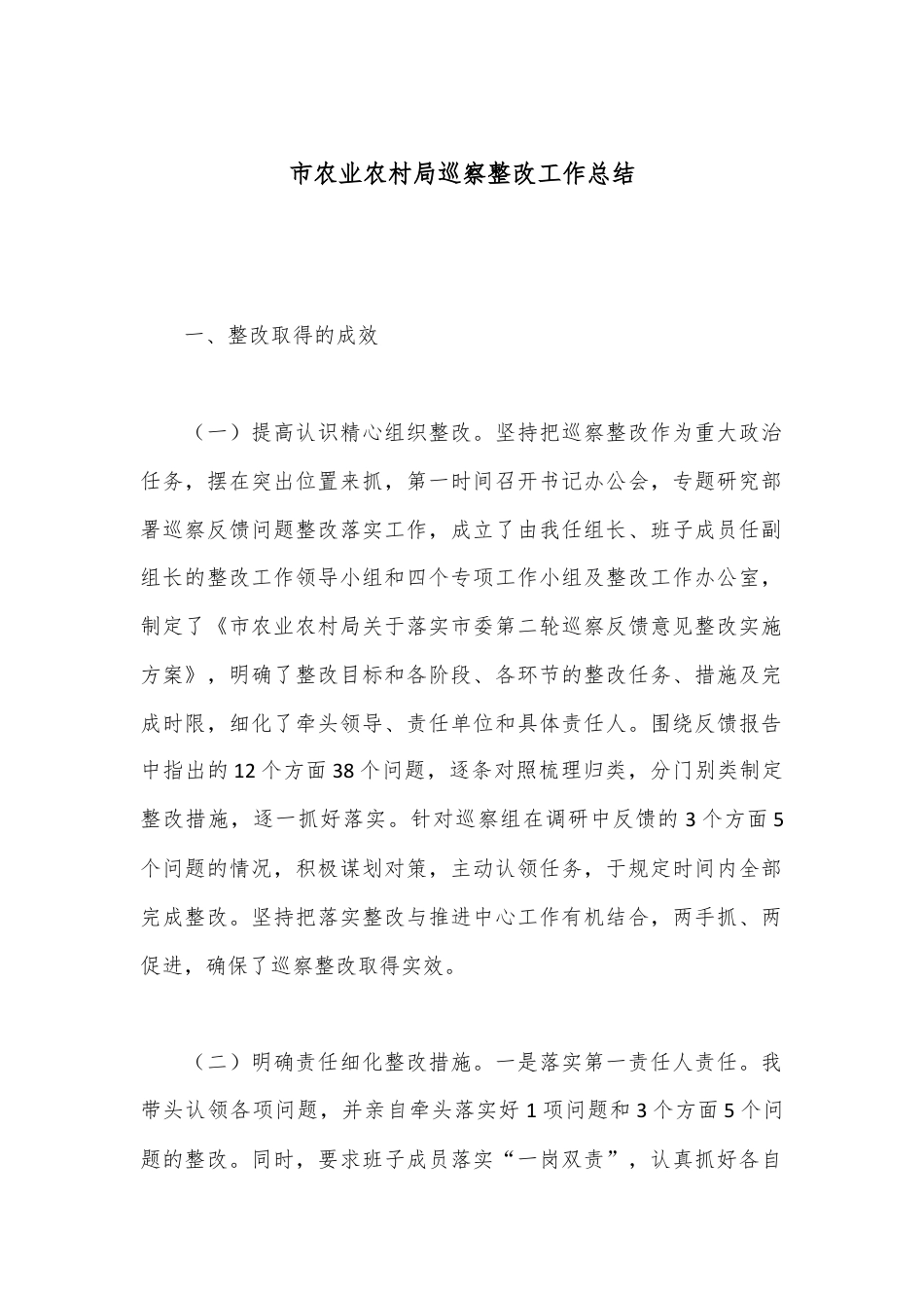 市农业农村局巡察整改工作总结.docx_第1页